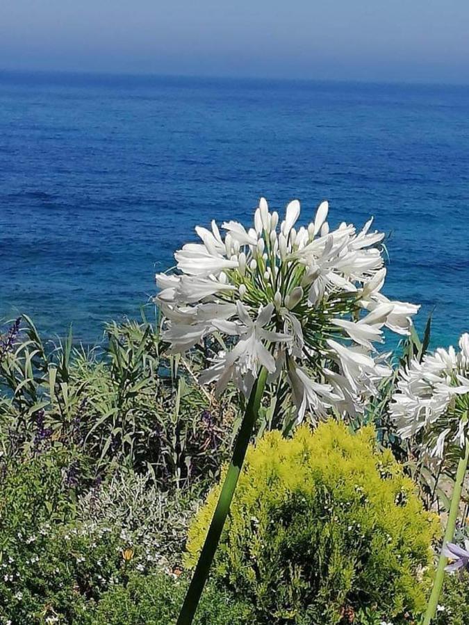 Ikaria Village Maisonette 10 Klorakas Exterior foto